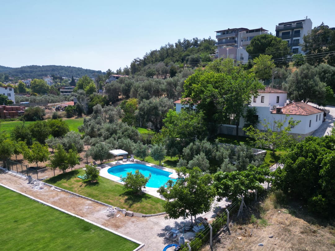 Aerial view of Muyo House pool and olive grove garden