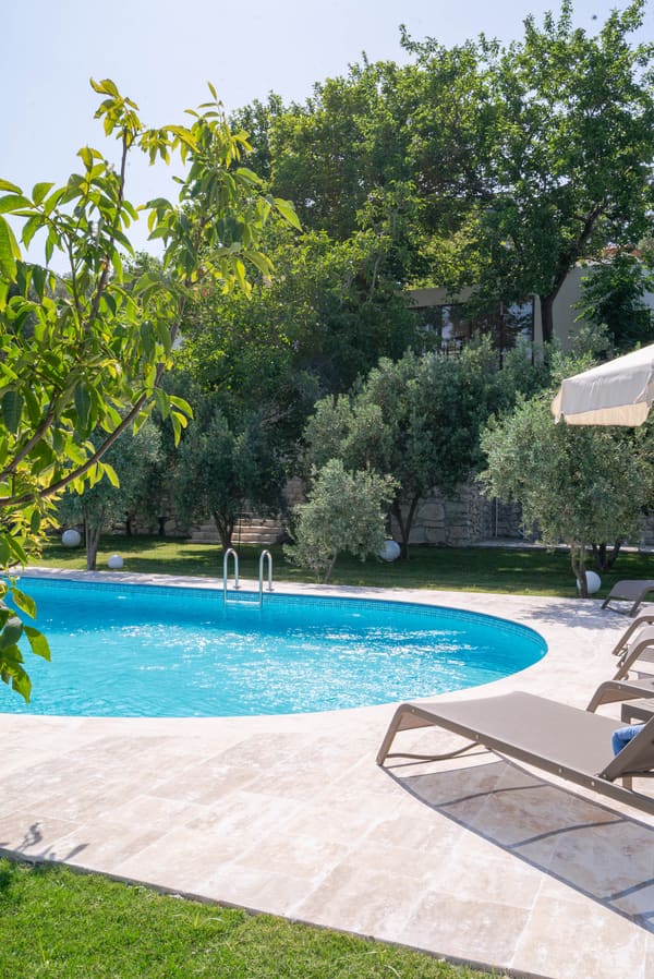 Sunbeds and umbrellas by the pool