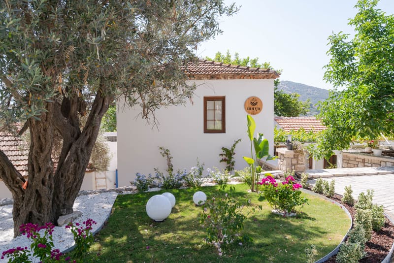 Muyo House stone building and olive tree